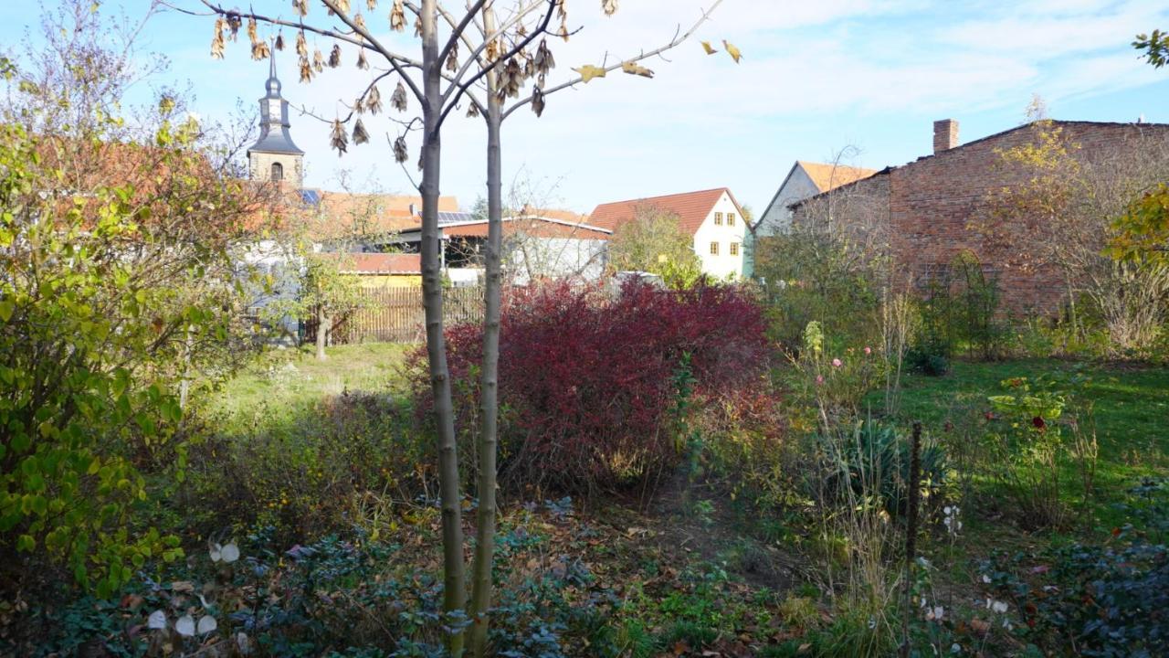 Huette Mit Herz Im Harz Daire Meisdorf Dış mekan fotoğraf